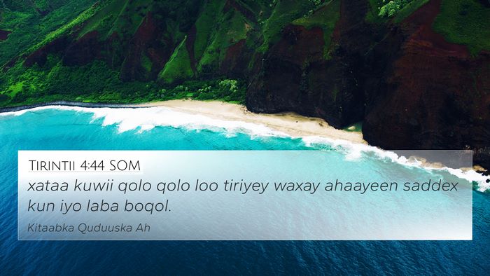 Tirintii 4:44 SOM 4K Wallpaper - xataa kuwii qolo qolo loo tiriyey waxay ahaayeen - 4K Wallpaper Bible Verse