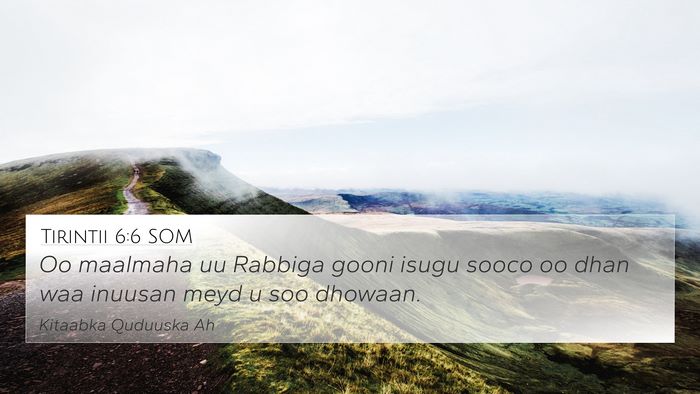 Tirintii 6:6 SOM Bible Verse Image