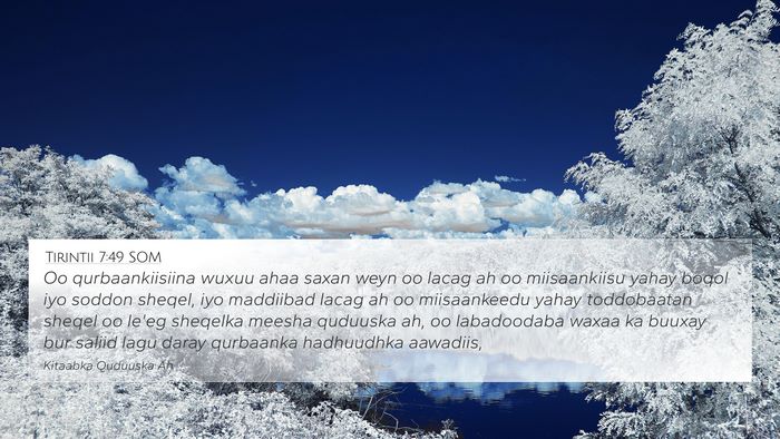 Tirintii 7:49 SOM 4K Wallpaper - Oo qurbaankiisiina wuxuu ahaa saxan weyn oo lacag - 4K Wallpaper Bible Verse