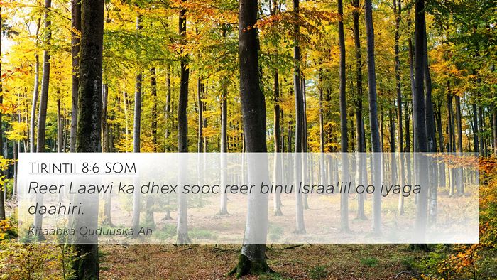 Tirintii 8:6 SOM Bible Verse Image