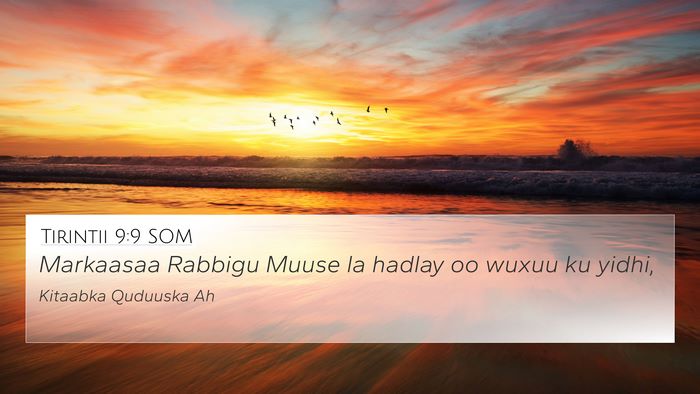 Tirintii 9:9 SOM 4K Wallpaper - Markaasaa Rabbigu Muuse la hadlay oo wuxuu ku - 4K Wallpaper Bible Verse
