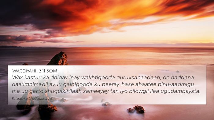 Wacdiyahii 3:11 SOM 4K Wallpaper - Wax kastuu ka dhigay inay wakhtigooda - 4K Wallpaper Bible Verse