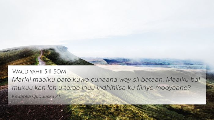 Wacdiyahii 5:11 SOM 4K Wallpaper - Markii maalku bato kuwa cunaana way sii bataan. - 4K Wallpaper Bible Verse