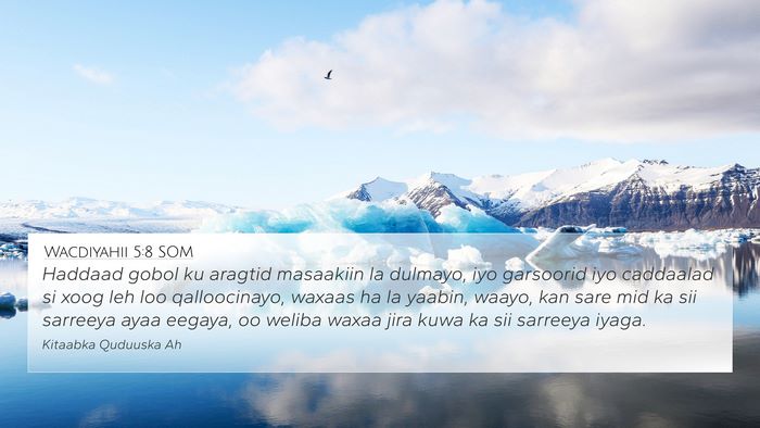 Wacdiyahii 5:8 SOM Bible Verse Image