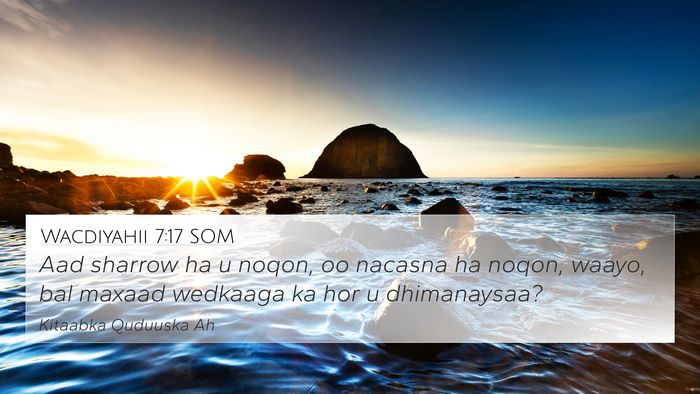 Wacdiyahii 7:17 SOM Bible Verse Image