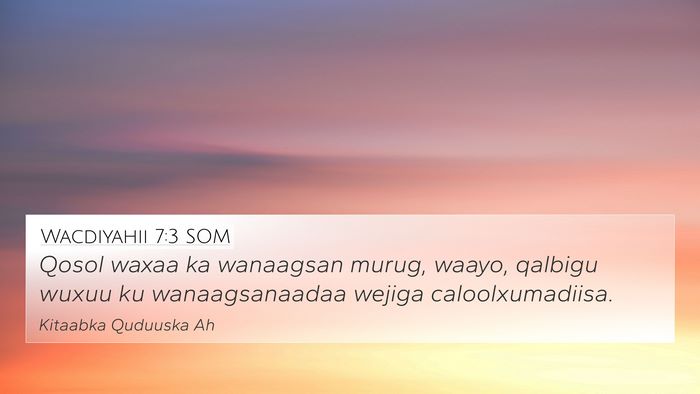 Wacdiyahii 7:3 SOM 4K Wallpaper - Qosol waxaa ka wanaagsan murug, waayo, qalbigu - 4K Wallpaper Bible Verse