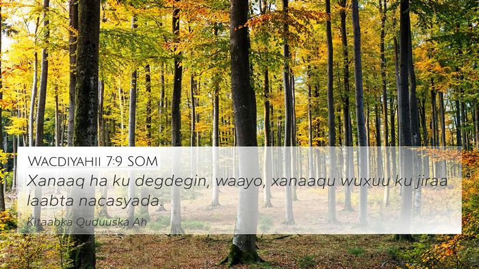 Wacdiyahii 7:9 SOM Bible Verse Image