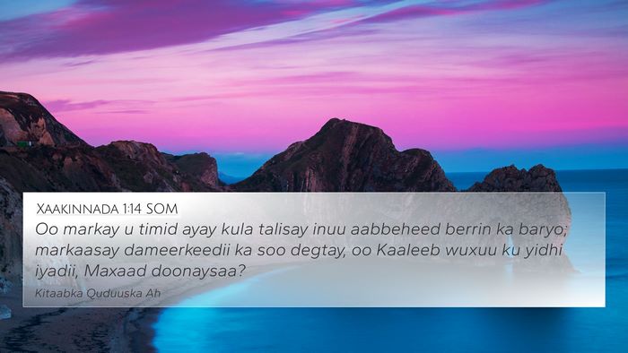Xaakinnada 1:14 SOM Bible Verse Image