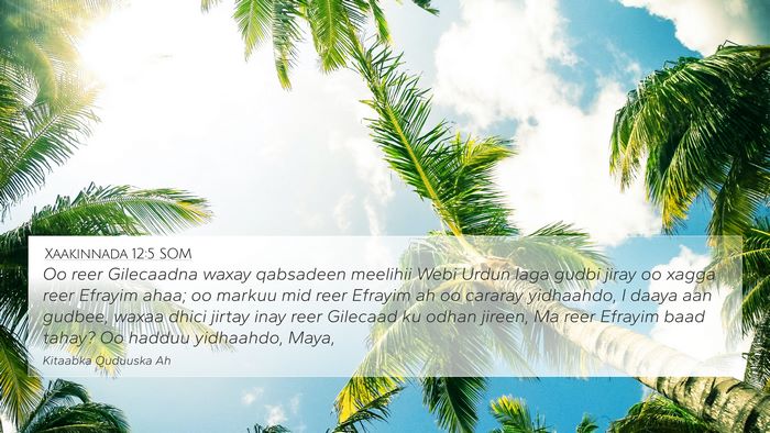 Xaakinnada 12:5 SOM Bible Verse Image