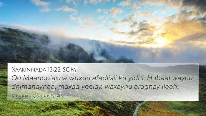 Xaakinnada 13:22 SOM Bible Verse Image
