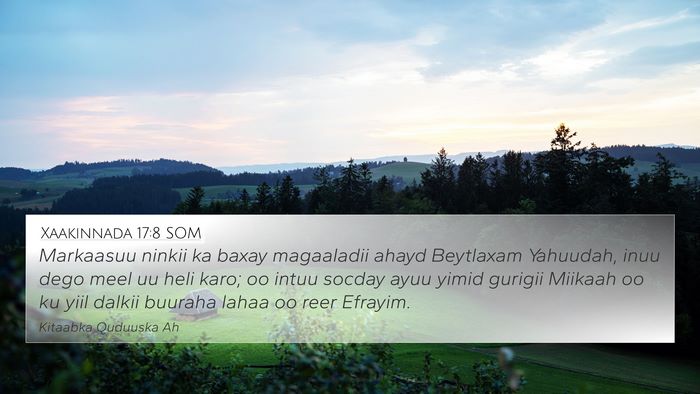 Xaakinnada 17:8 SOM Bible Verse Image