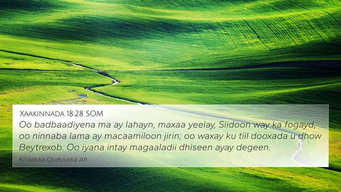 Xaakinnada 18:28 SOM Bible Verse Image