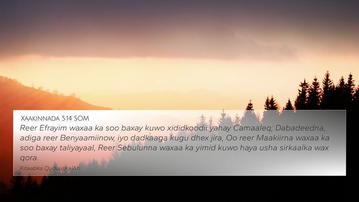 Xaakinnada 5:14 SOM Bible Verse Image