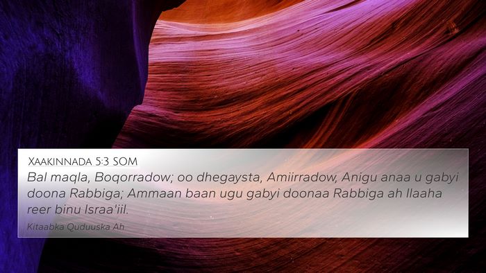 Xaakinnada 5:3 SOM Bible Verse Image