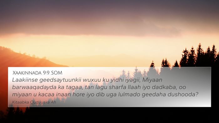 Xaakinnada 9:9 SOM Bible Verse Image