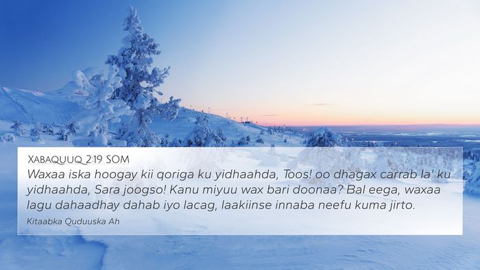 Xabaquuq 2:19 SOM Bible Verse Image