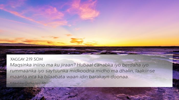 Xaggay 2:19 SOM 4K Wallpaper - Maqsinka iniino ma ku jiraan? Hubaal canabka iyo - 4K Wallpaper Bible Verse