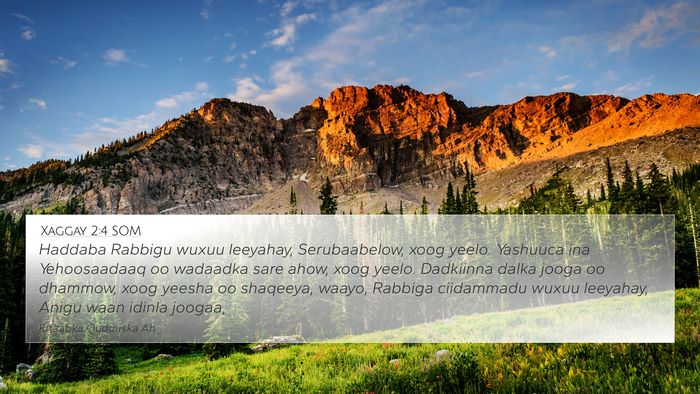 Xaggay 2:4 SOM Bible Verse Image