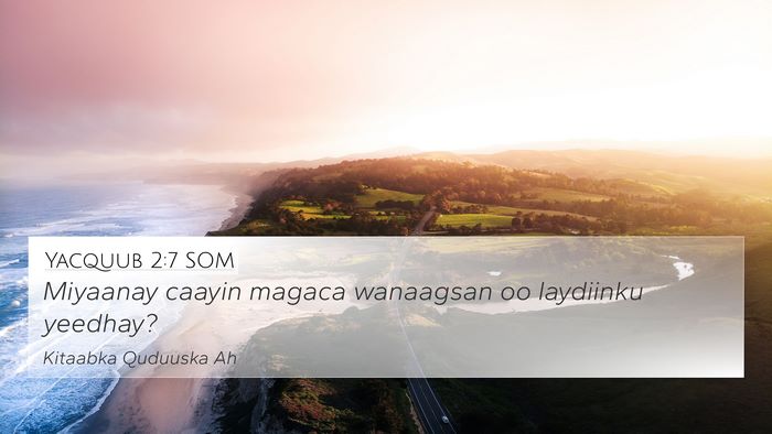 Yacquub 2:7 SOM 4K Wallpaper - Miyaanay caayin magaca wanaagsan oo laydiinku - 4K Wallpaper Bible Verse