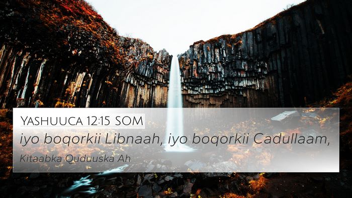 Yashuuca 12:15 SOM Bible Verse Image