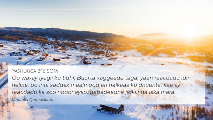Yashuuca 2:16 SOM Bible Verse Image