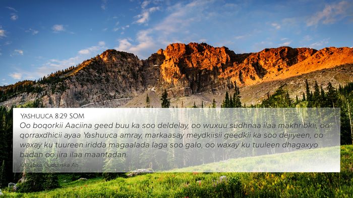 Yashuuca 8:29 SOM Bible Verse Image