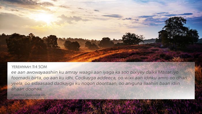 Yeremyaah 11:4 SOM 4K Wallpaper - ee aan awowayaashiin ku amray waagii aan iyaga ka - 4K Wallpaper Bible Verse