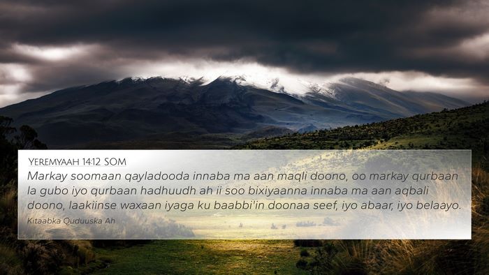 Yeremyaah 14:12 SOM Bible Verse Image