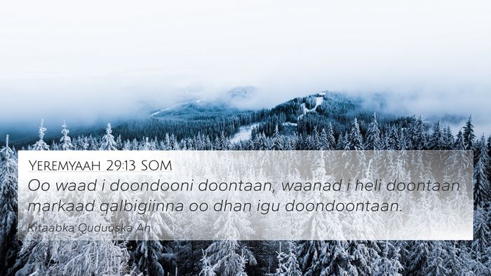 Yeremyaah 29:13 SOM Bible Verse Image
