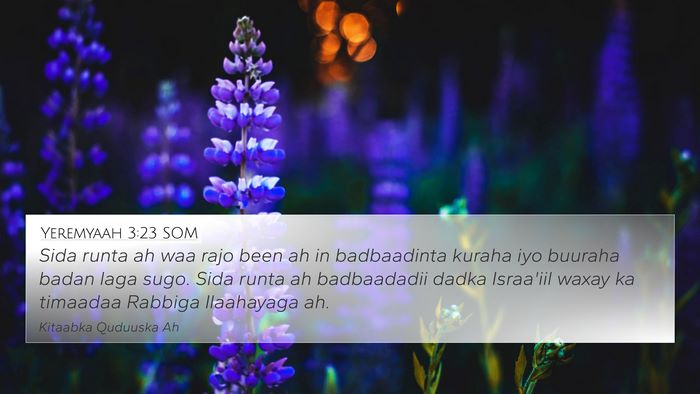 Yeremyaah 3:23 SOM Bible Verse Image