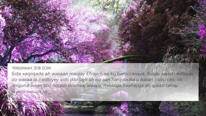 Yeremyaah 31:18 SOM Bible Verse Image