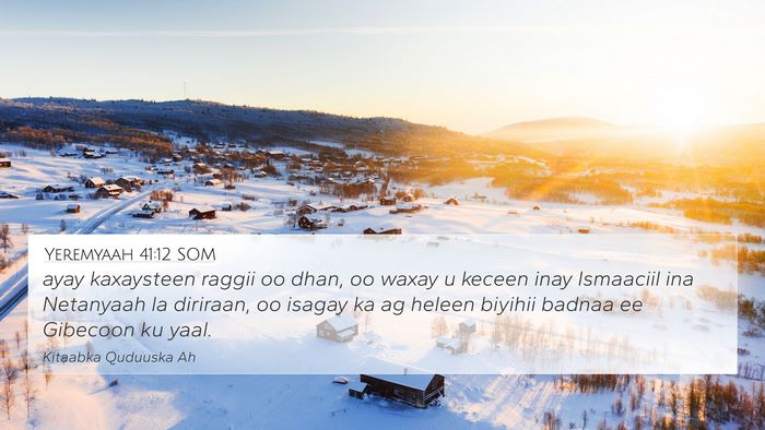 Yeremyaah 41:12 SOM Bible Verse Image