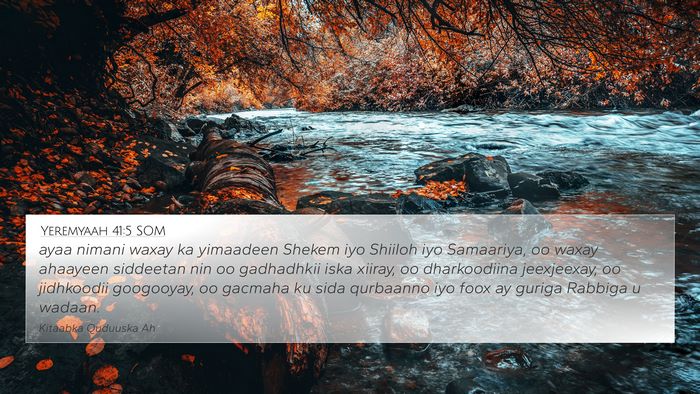 Yeremyaah 41:5 SOM Bible Verse Image