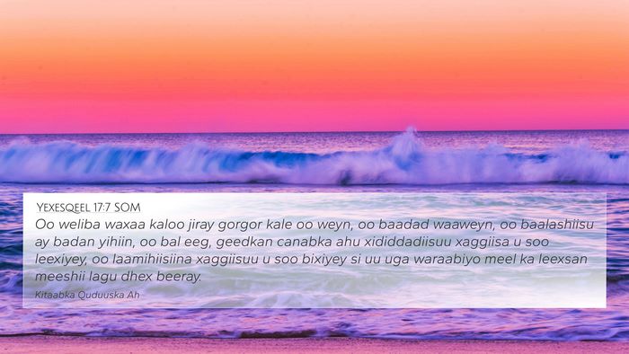 Yexesqeel 17:7 SOM Bible Verse Image