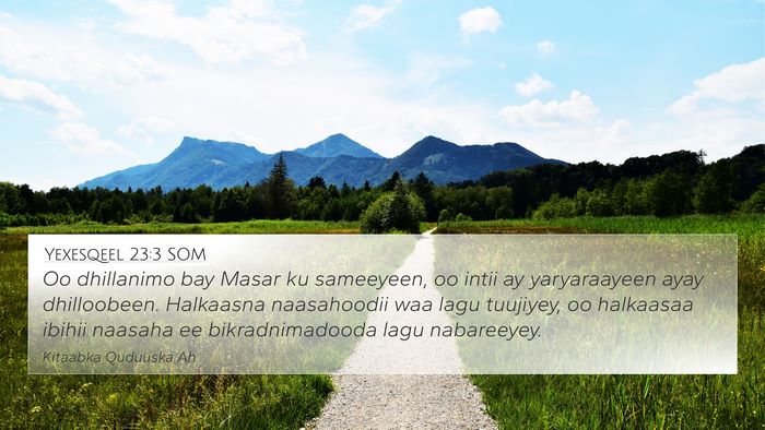 Yexesqeel 23:3 SOM Bible Verse Image