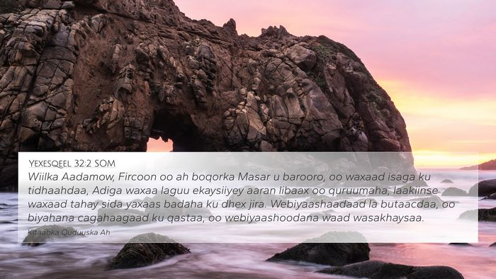 Yexesqeel 32:2 SOM Bible Verse Image