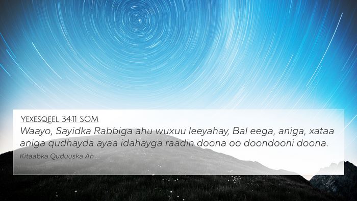 Yexesqeel 34:11 SOM Bible Verse Image