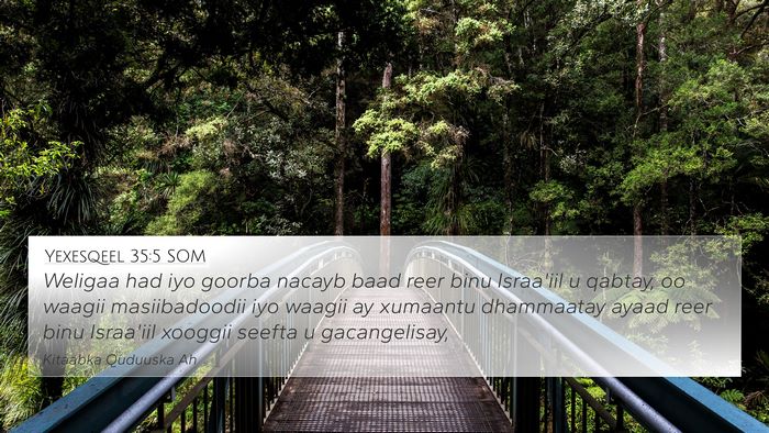 Yexesqeel 35:5 SOM Bible Verse Image