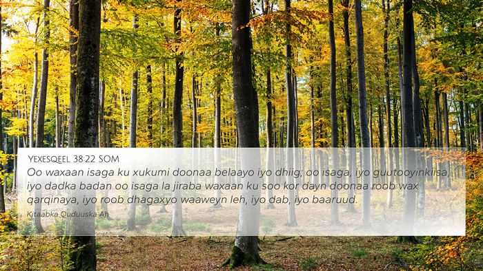 Yexesqeel 38:22 SOM Bible Verse Image