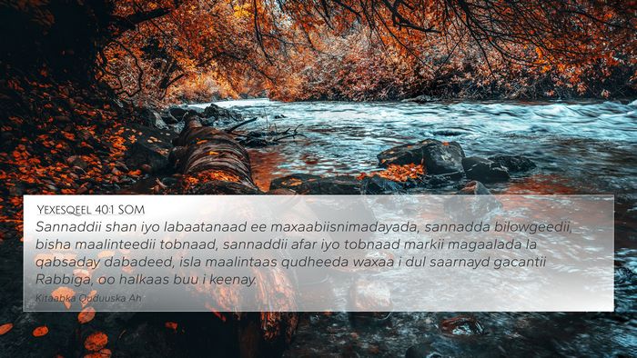 Yexesqeel 40:1 SOM Bible Verse Image