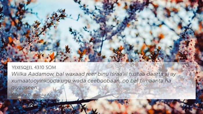 Yexesqeel 43:10 SOM Bible Verse Image