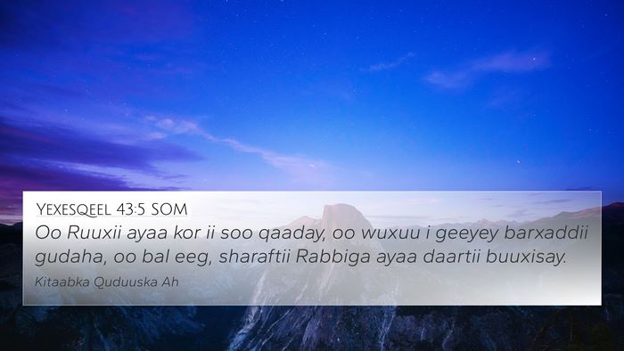 Yexesqeel 43:5 SOM Bible Verse Image