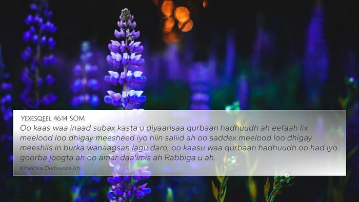 Yexesqeel 46:14 SOM Bible Verse Image