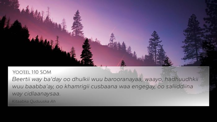Yoo'eel 1:10 SOM Bible Verse Image