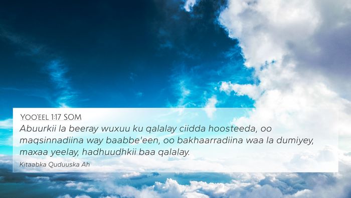 Yoo'eel 1:17 SOM Bible Verse Image