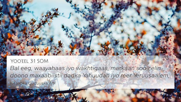 Yoo'eel 3:1 SOM Bible Verse Image