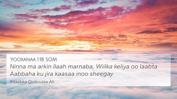 Yooxanaa 1:18 SOM Bible Verse Image