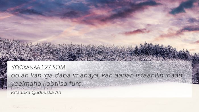 Yooxanaa 1:27 SOM Bible Verse Image