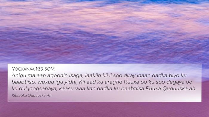 Yooxanaa 1:33 SOM Bible Verse Image