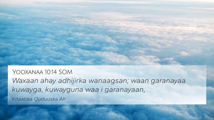 Yooxanaa 10:14 SOM Bible Verse Image